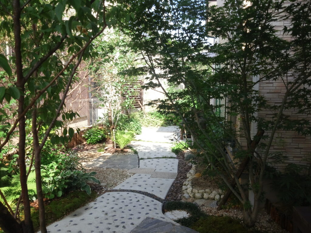 雑木の庭は日陰をつくり、建物を日差しから守り、室内の温熱環境の改善もしてくれます